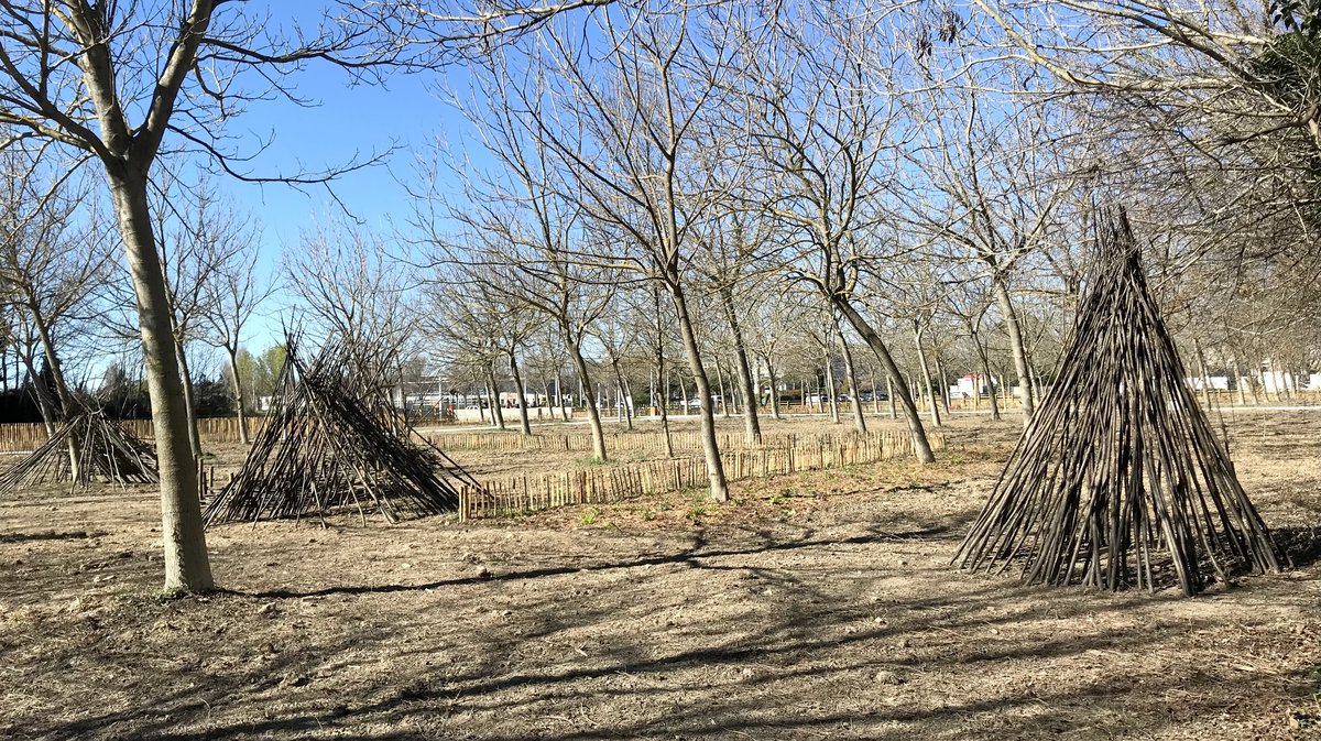 Bois des noyers (Photo Archives Anthony Maurin)
