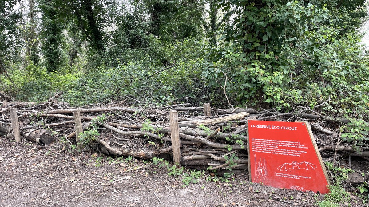 Bois des noyers (Photo Archives Anthony Maurin)