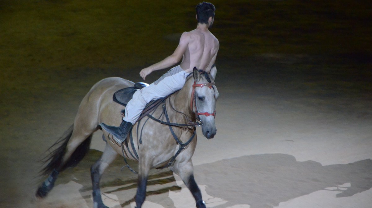 Le rêve du gladiateur Nîmes