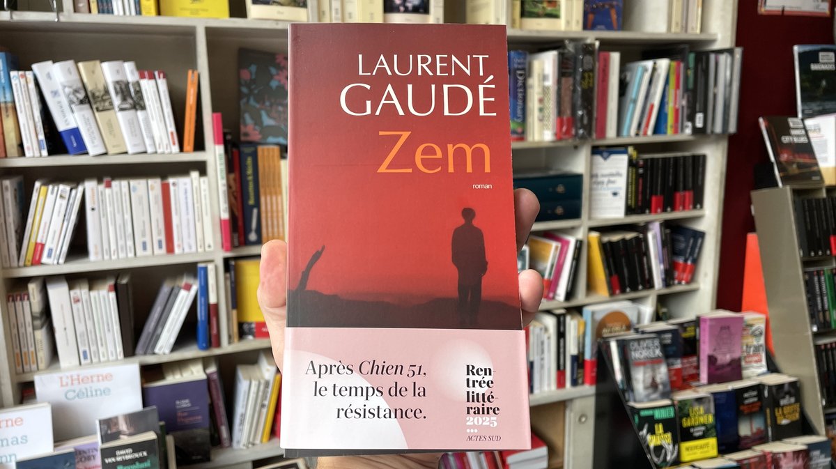 rentrée littéraire 2025 librairies Teissier Fnac Goyard (Photo Anthony Maurin)