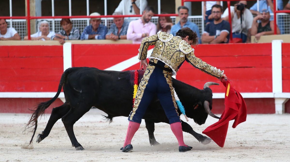 Novillada sans picadors de François André et Bernard Taurelle pour Clovis, Cristian Restrepo Medina et Hugo Tarbelli Finale du bolsin de Nîmes Métropole (Photo Anthony Maurin)