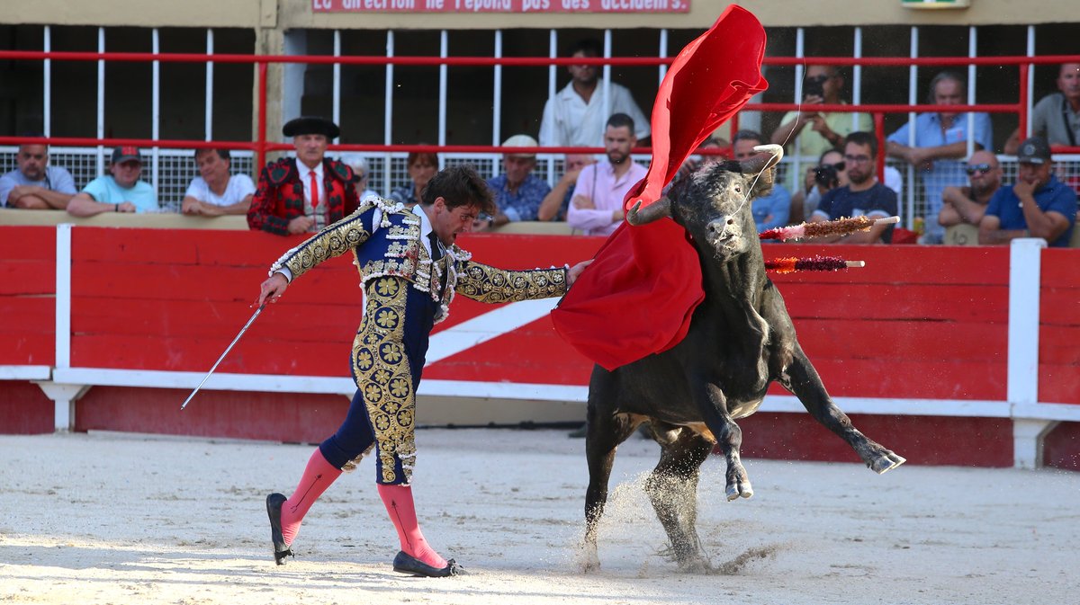 Novillada sans picadors de François André et Bernard Taurelle pour Clovis, Cristian Restrepo Medina et Hugo Tarbelli Finale du bolsin de Nîmes Métropole (Photo Anthony Maurin)