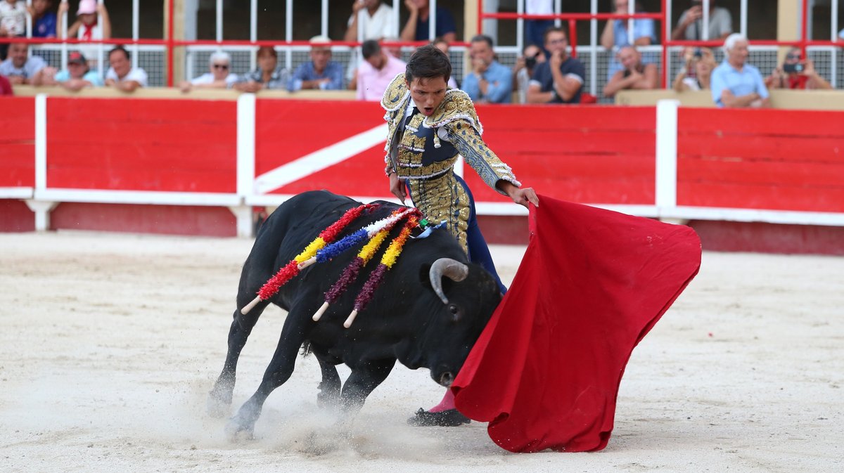 Novillada sans picadors de François André et Bernard Taurelle pour Clovis, Cristian Restrepo Medina et Hugo Tarbelli Finale du bolsin de Nîmes Métropole (Photo Anthony Maurin)