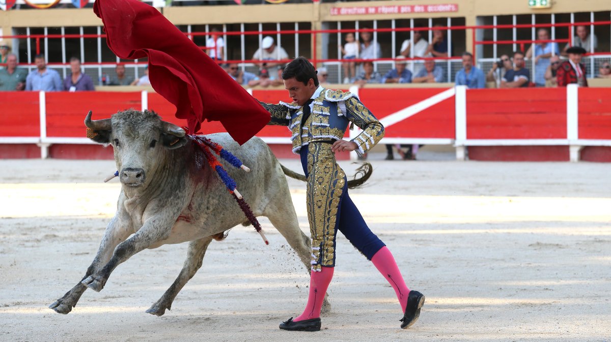 Novillada sans picadors de François André et Bernard Taurelle pour Clovis, Cristian Restrepo Medina et Hugo Tarbelli Finale du bolsin de Nîmes Métropole (Photo Anthony Maurin)