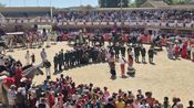 Feria de la pêche et de l'abricot