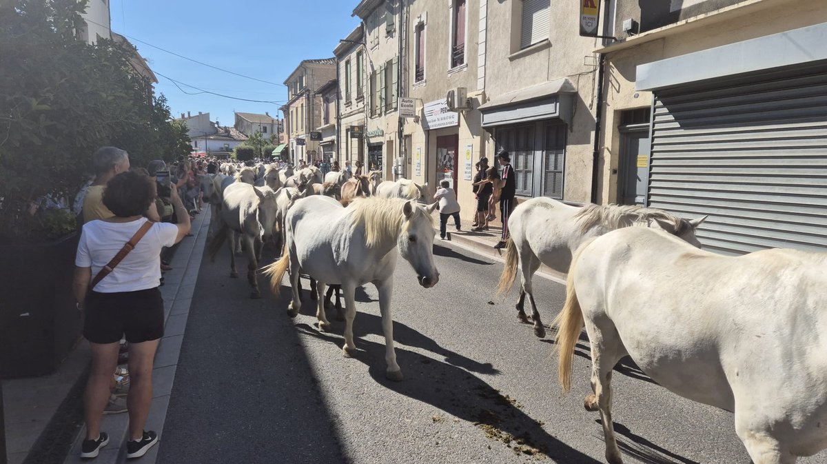 Défilé de la Romería lors de la feria de la pêche et de l'abricot de Saint-Gilles.