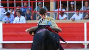 Novillada de La Suerte, François André, Tardieu Frères, Raphaël Chaubet, Malaga et Blohorn pour Aaron Palacio, Julio Norte et Victor (Photo Anthony Maurin)