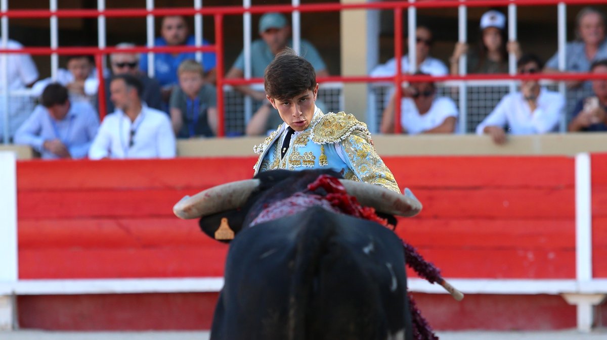 Novillada de La Suerte, François André, Tardieu Frères, Raphaël Chaubet, Malaga et Blohorn pour Aaron Palacio, Julio Norte et Victor (Photo Anthony Maurin)