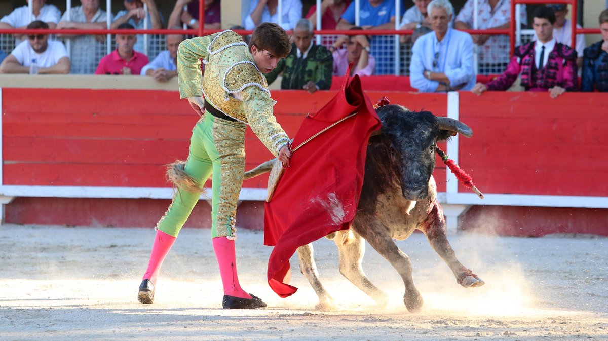 Novillada de La Suerte, François André, Tardieu Frères, Raphaël Chaubet, Malaga et Blohorn pour Aaron Palacio, Julio Norte et Victor (Photo Anthony Maurin)