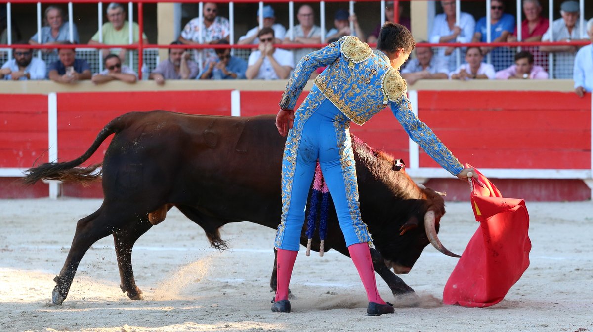 Novillada de La Suerte, François André, Tardieu Frères, Raphaël Chaubet, Malaga et Blohorn pour Aaron Palacio, Julio Norte et Victor (Photo Anthony Maurin)