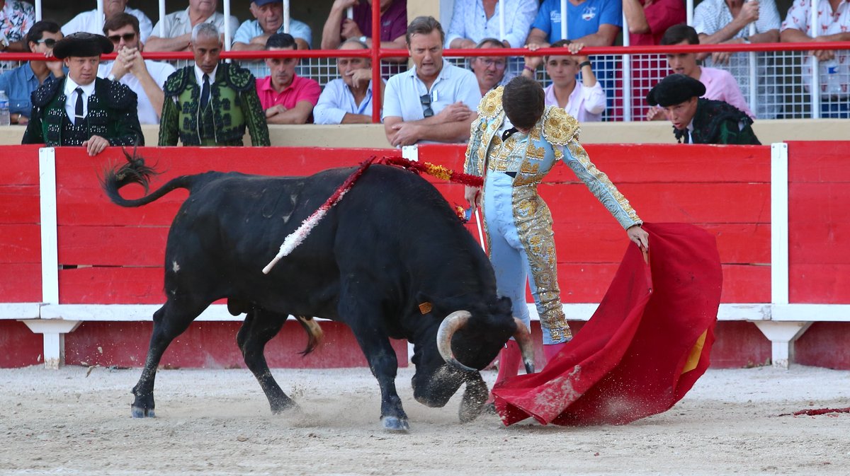 Novillada de La Suerte, François André, Tardieu Frères, Raphaël Chaubet, Malaga et Blohorn pour Aaron Palacio, Julio Norte et Victor (Photo Anthony Maurin)