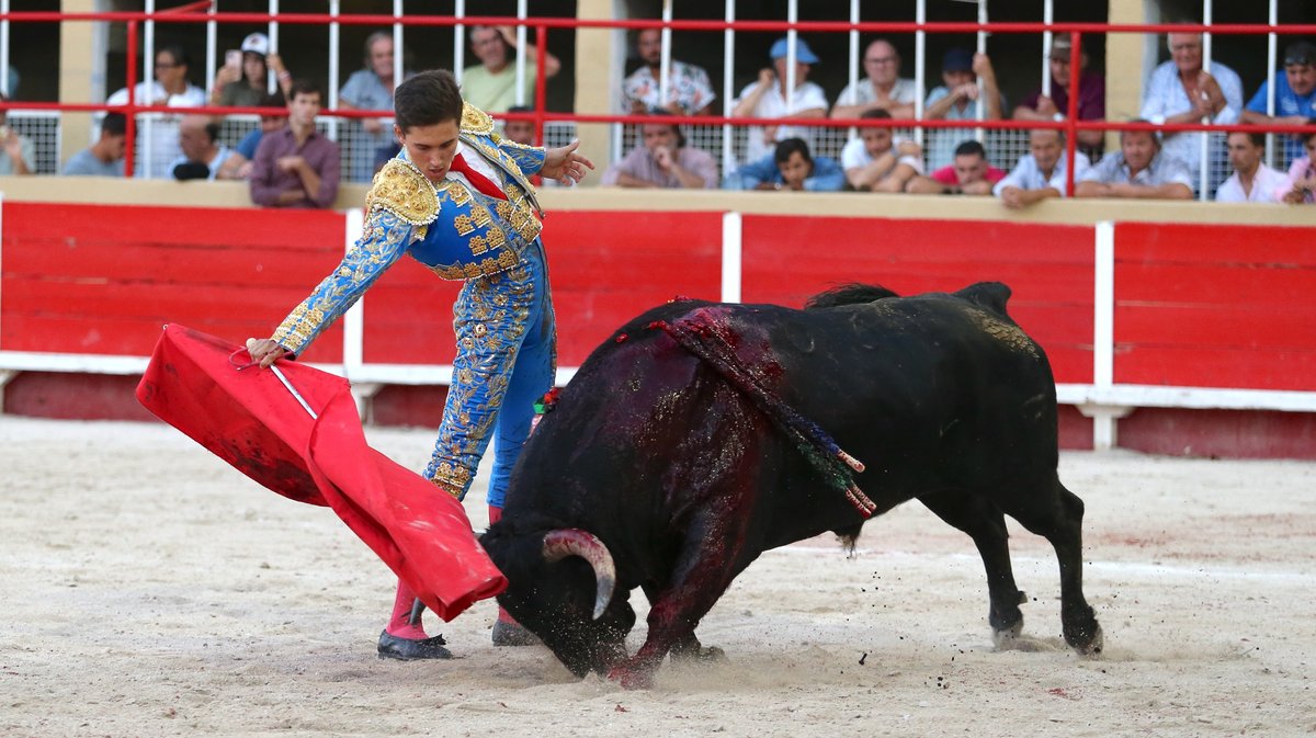 Novillada de La Suerte, François André, Tardieu Frères, Raphaël Chaubet, Malaga et Blohorn pour Aaron Palacio, Julio Norte et Victor (Photo Anthony Maurin)