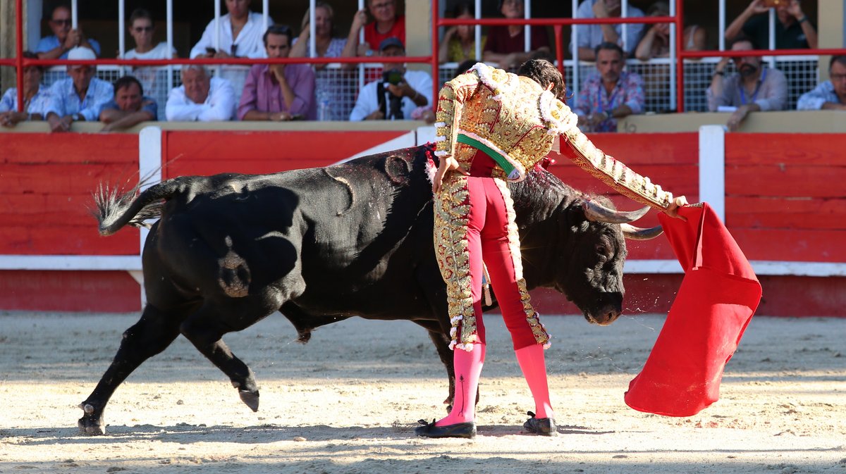 Corrida de Luis Algarra Polera pour Carlos Olsina, Solal et Samuel Navalon (Photo Anthony Maurin)