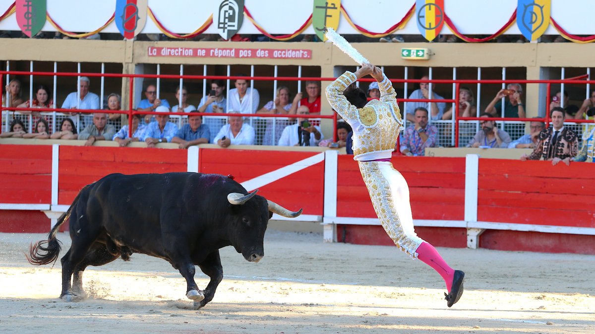 Corrida de Luis Algarra Polera pour Carlos Olsina, Solal et Samuel Navalon (Photo Anthony Maurin)