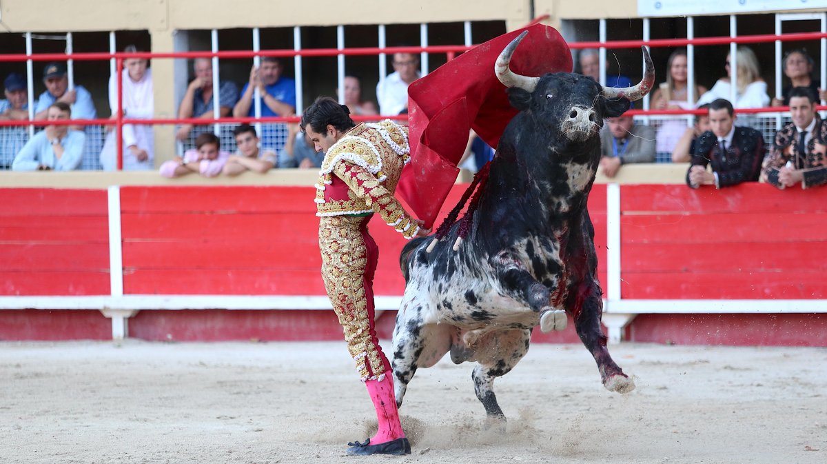 Corrida de Luis Algarra Polera pour Carlos Olsina, Solal et Samuel Navalon (Photo Anthony Maurin)