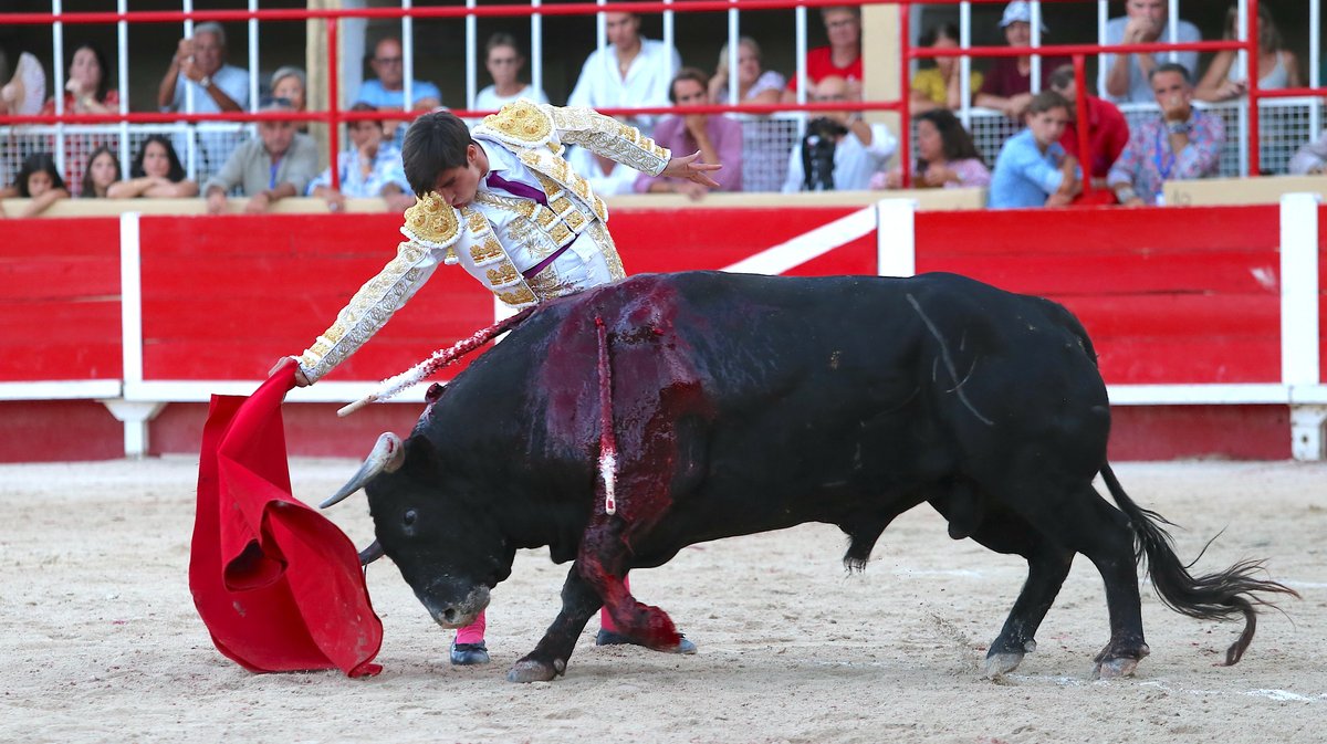 Corrida de Luis Algarra Polera pour Carlos Olsina, Solal et Samuel Navalon (Photo Anthony Maurin)