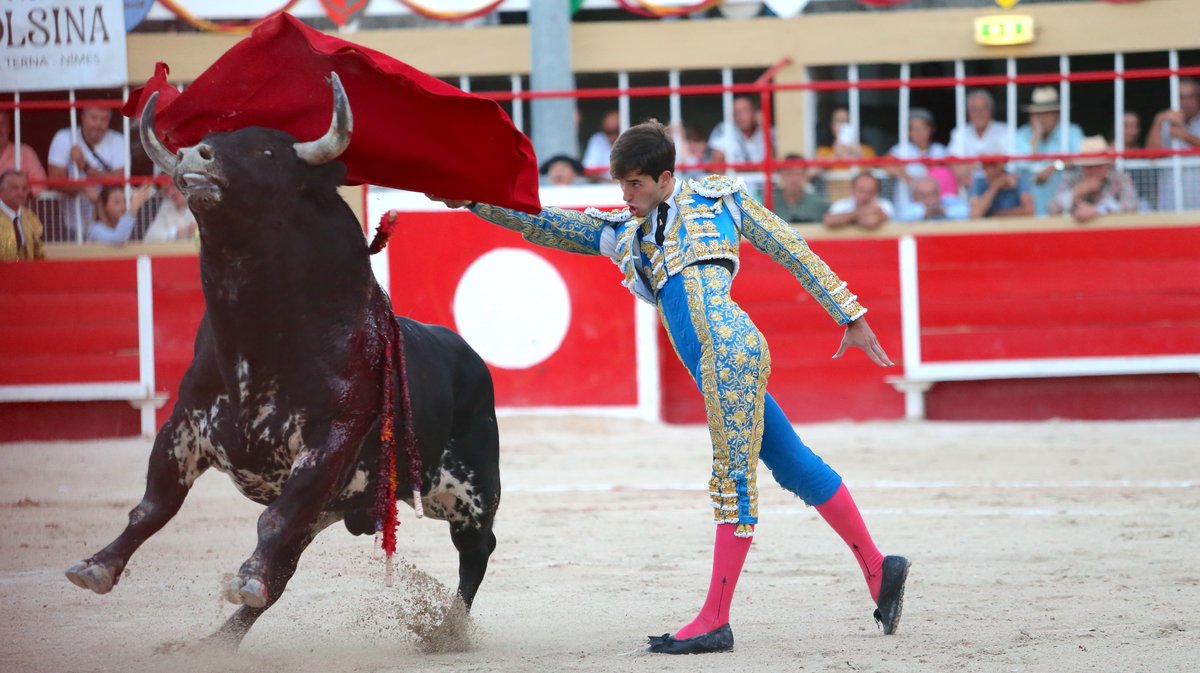 Corrida de Luis Algarra Polera pour Carlos Olsina, Solal et Samuel Navalon (Photo Anthony Maurin)