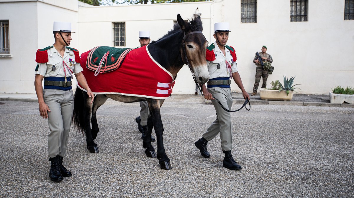 2e rei el moungar nimes (yp)