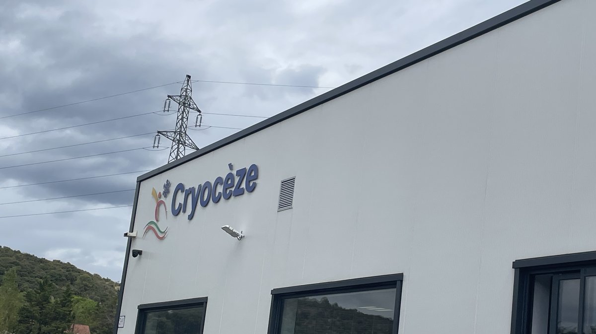 Cryocèze
