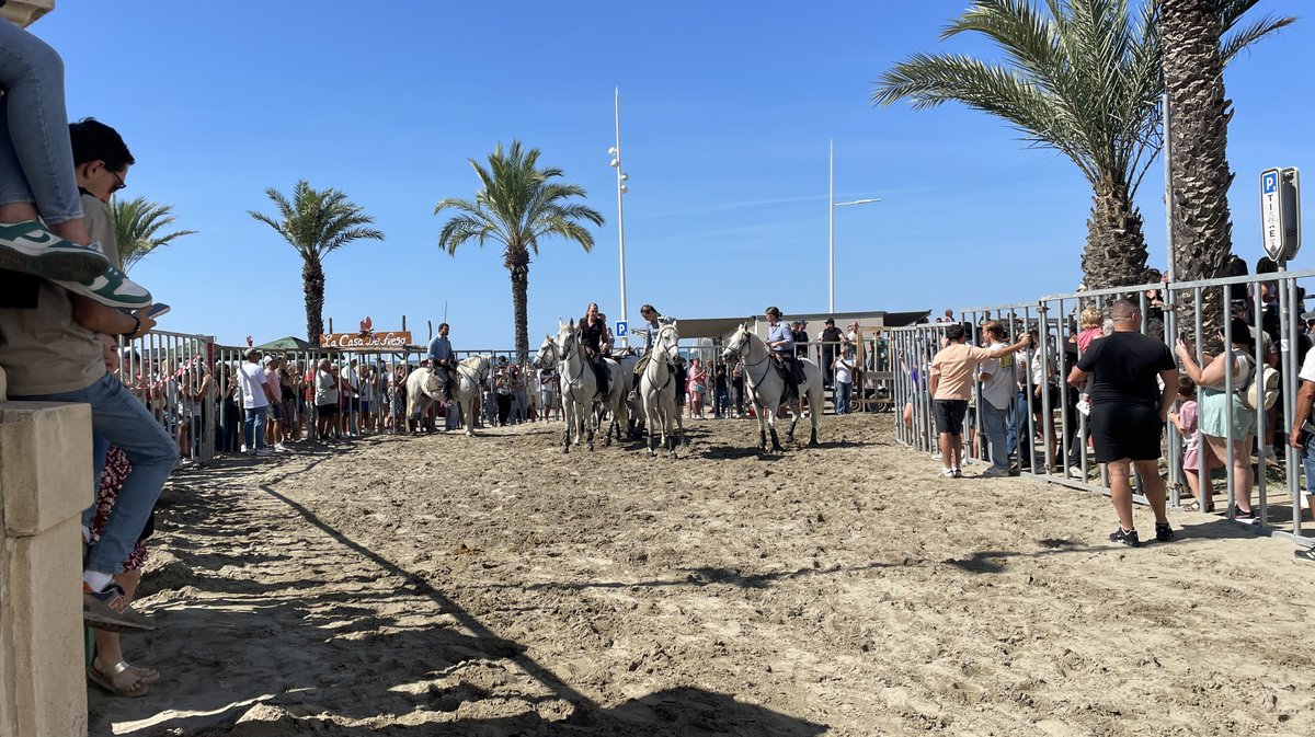 Fête votive Grau-du-Roi 2025 (Photo Anthony Maurin)
