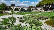 Le faucardage des plantes aquatiques non loin du pont Tibère à Sommière va commencer (Photo CC Pays de Sommières EPTB Vidourle)