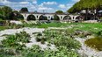 Le faucardage des plantes aquatiques non loin du pont Tibère à Sommière va commencer (Photo CC Pays de Sommières EPTB Vidourle)