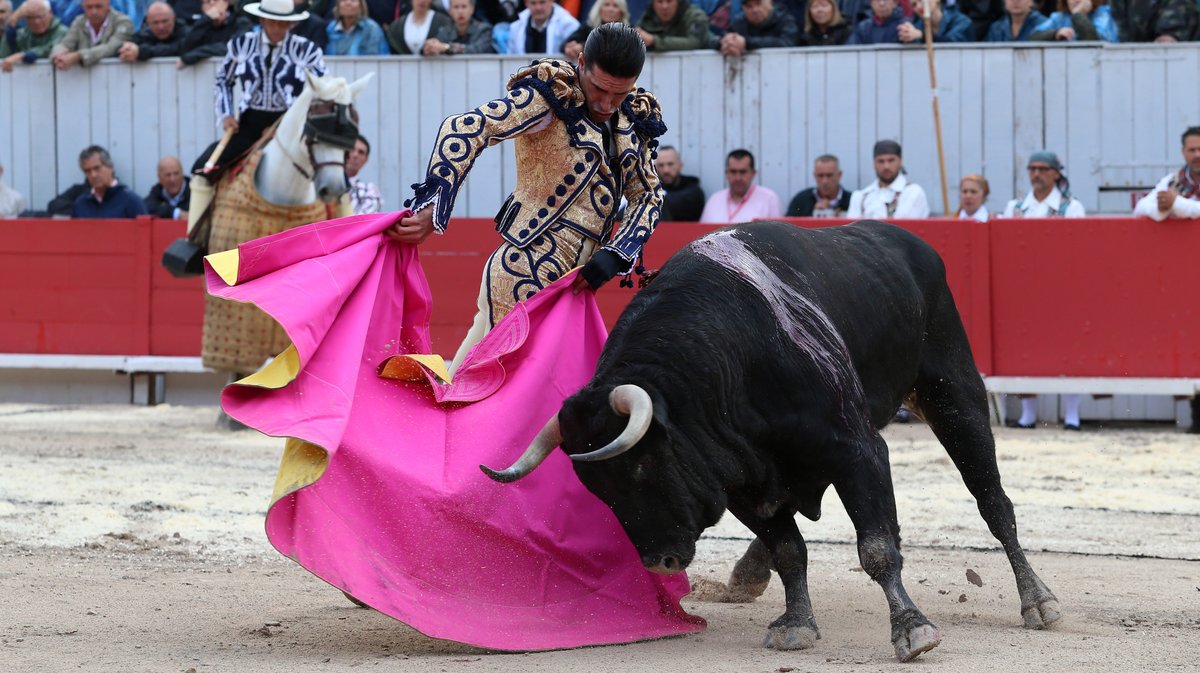 1 Corrida goyesque d'Alvaro Nuñez pour Alejandro Talavante, Daniel Luque et Marco Perez (Photo Anthony Maurin)CV4P2859