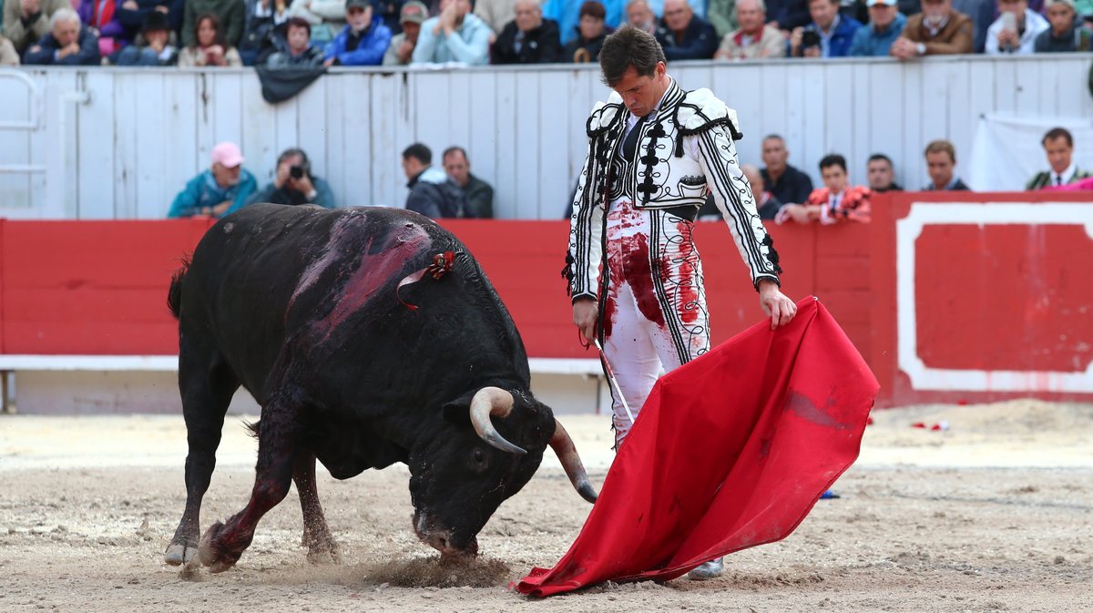 1 Corrida goyesque d'Alvaro Nuñez pour Alejandro Talavante, Daniel Luque et Marco Perez (Photo Anthony Maurin)CV4P3000