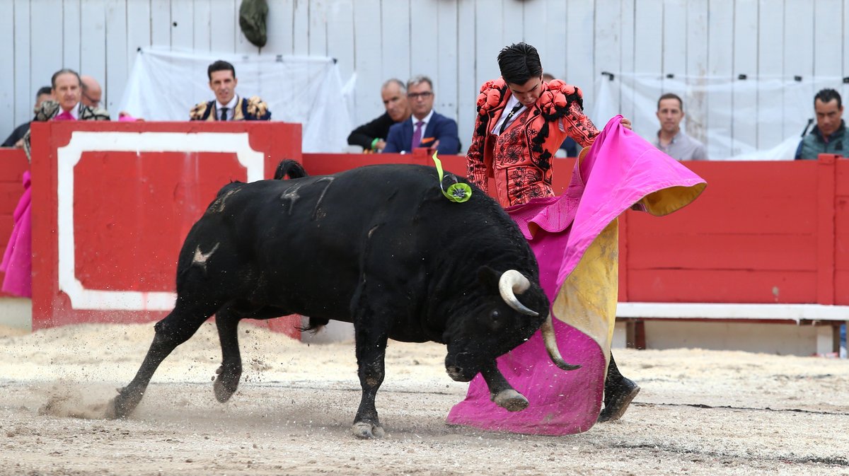 1 Corrida goyesque d'Alvaro Nuñez pour Alejandro Talavante, Daniel Luque et Marco Perez (Photo Anthony Maurin)CV4P3041