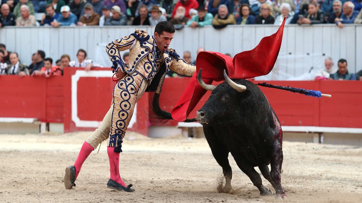 1 Corrida goyesque d'Alvaro Nuñez pour Alejandro Talavante, Daniel Luque et Marco Perez (Photo Anthony Maurin)CV4P3136