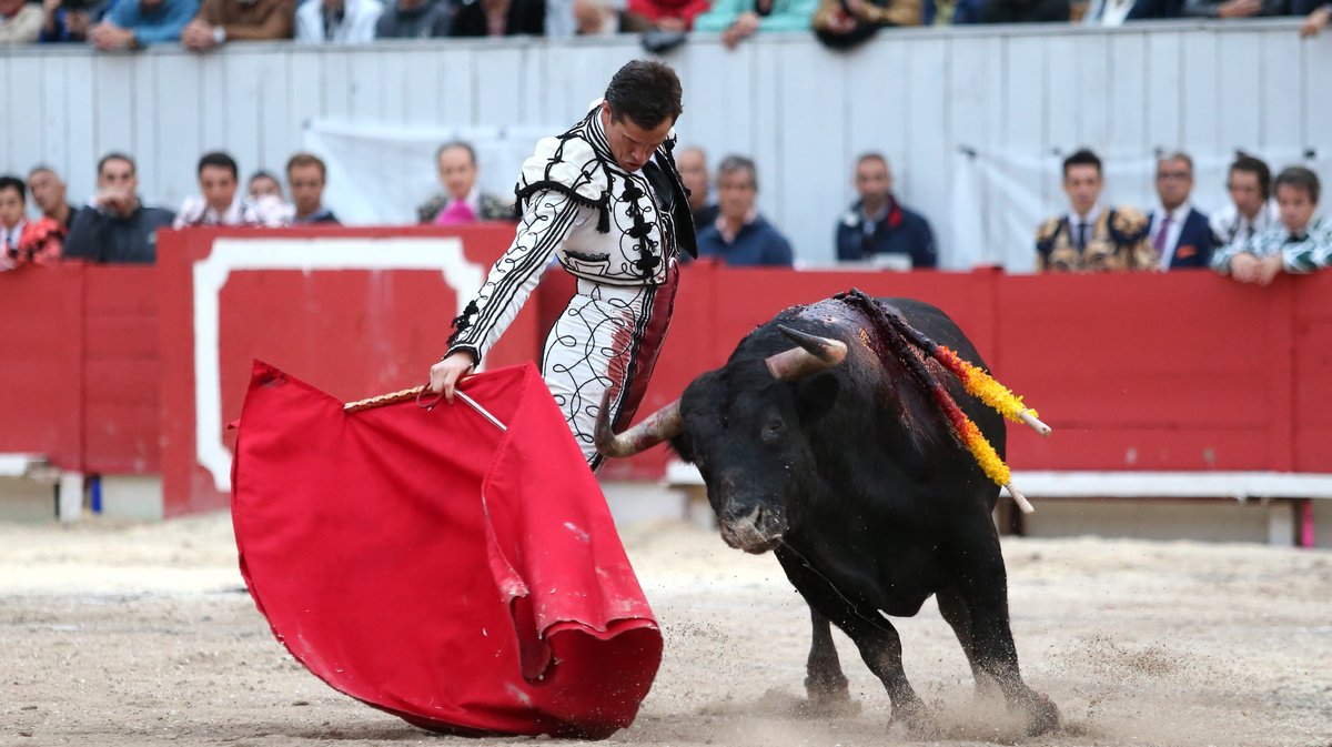1 Corrida goyesque d'Alvaro Nuñez pour Alejandro Talavante, Daniel Luque et Marco Perez (Photo Anthony Maurin)CV4P3175