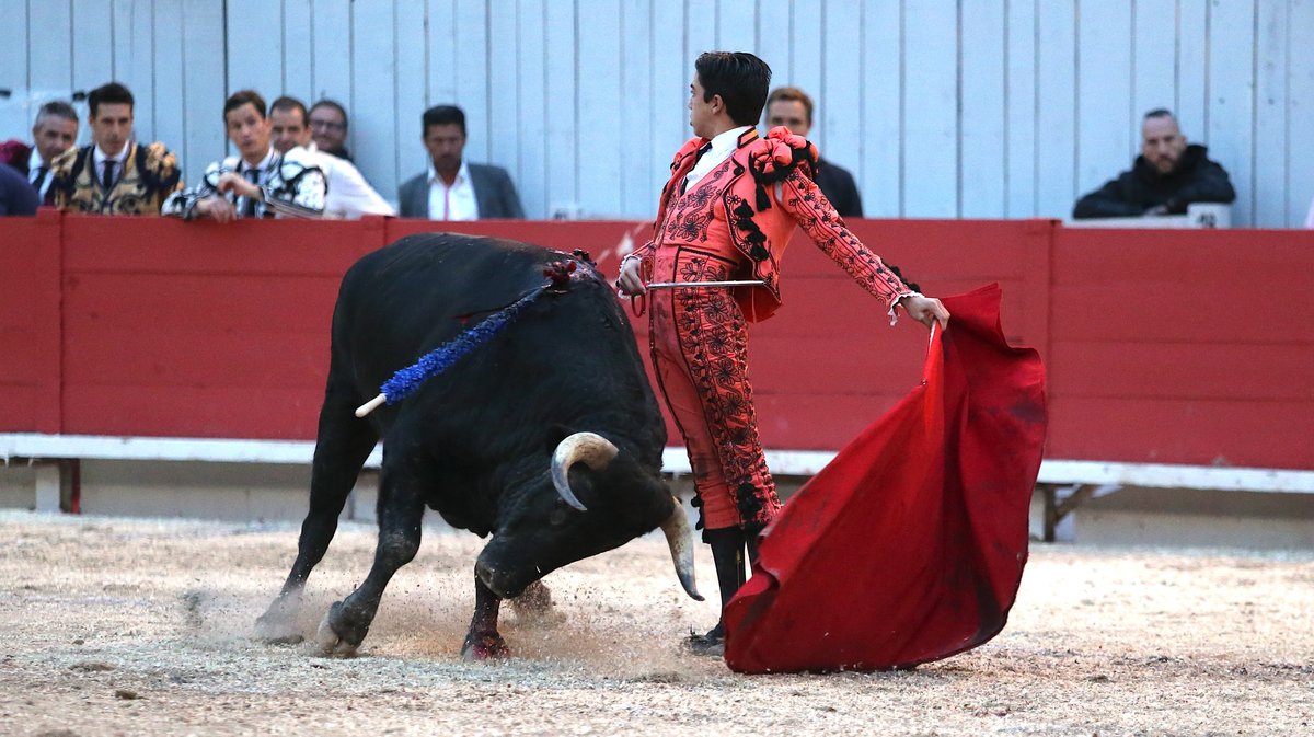 1 Corrida goyesque d'Alvaro Nuñez pour Alejandro Talavante, Daniel Luque et Marco Perez (Photo Anthony Maurin)CV4P3222