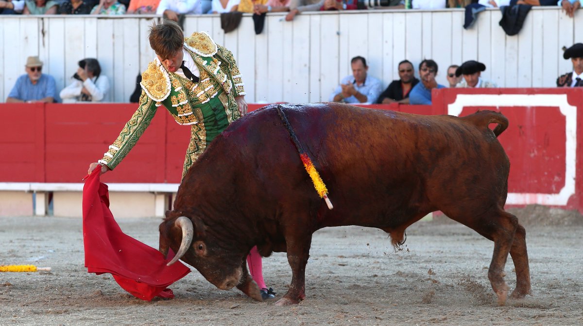 Corrida de Robert Margé pour Juan Leal, Diego San Roman et Samuel Navalon (Photo Anthony Maurin)