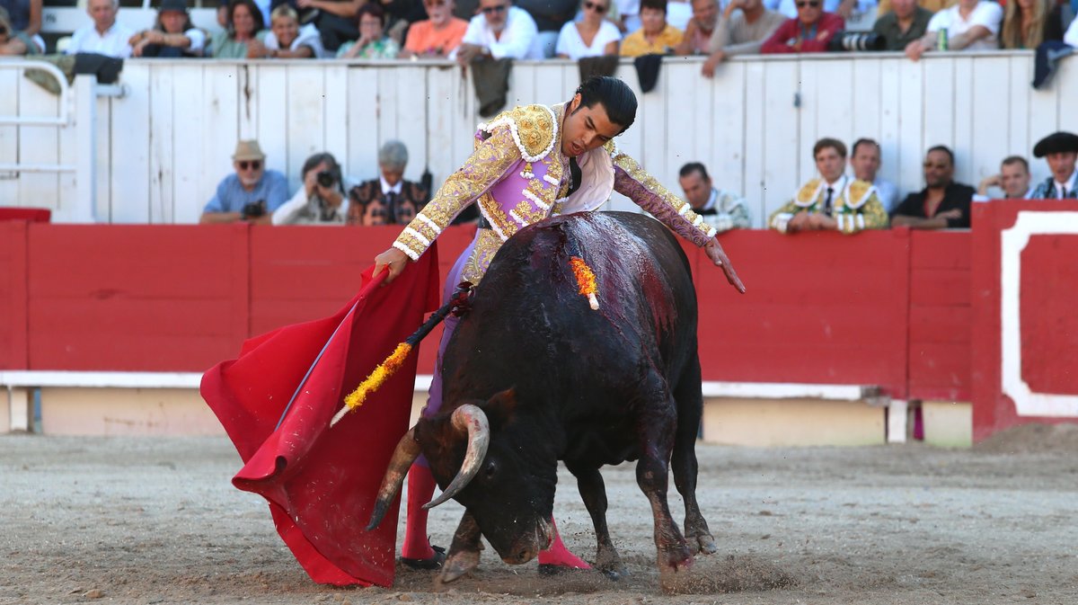 Corrida de Robert Margé pour Juan Leal, Diego San Roman et Samuel Navalon (Photo Anthony Maurin)