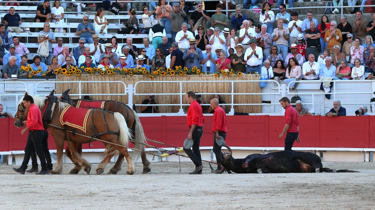 Corrida de Robert Margé pour Juan Leal, Diego San Roman et Samuel Navalon (Photo Anthony Maurin)
