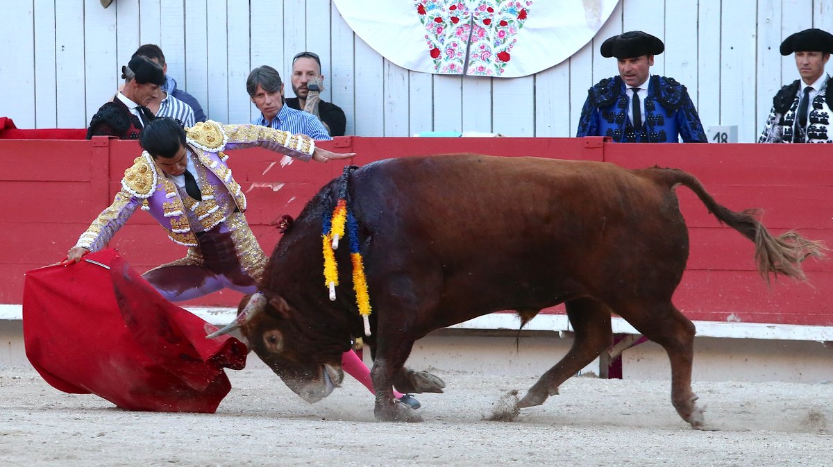 Corrida de Robert Margé pour Juan Leal, Diego San Roman et Samuel Navalon (Photo Anthony Maurin)