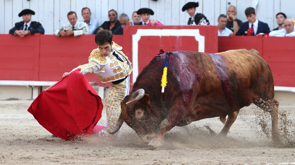 Corrida de Robert Margé pour Juan Leal, Diego San Roman et Samuel Navalon (Photo Anthony Maurin)