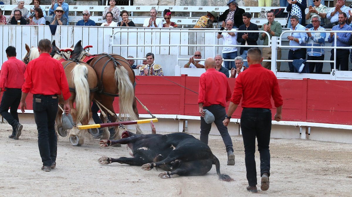 Corrida de Robert Margé pour Juan Leal, Diego San Roman et Samuel Navalon (Photo Anthony Maurin)