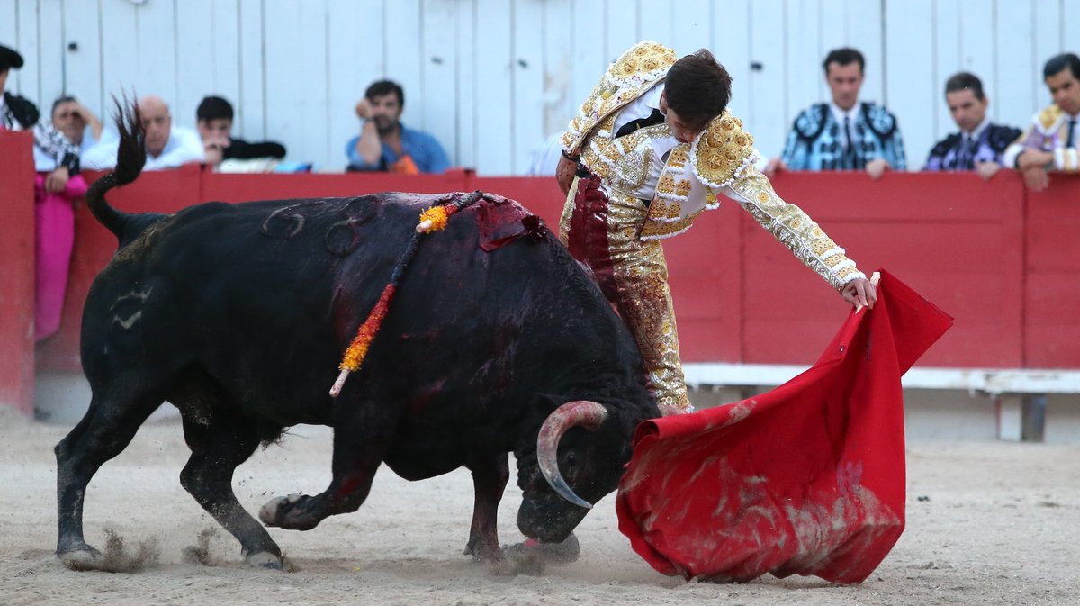 Corrida de Robert Margé pour Juan Leal, Diego San Roman et Samuel Navalon (Photo Anthony Maurin)