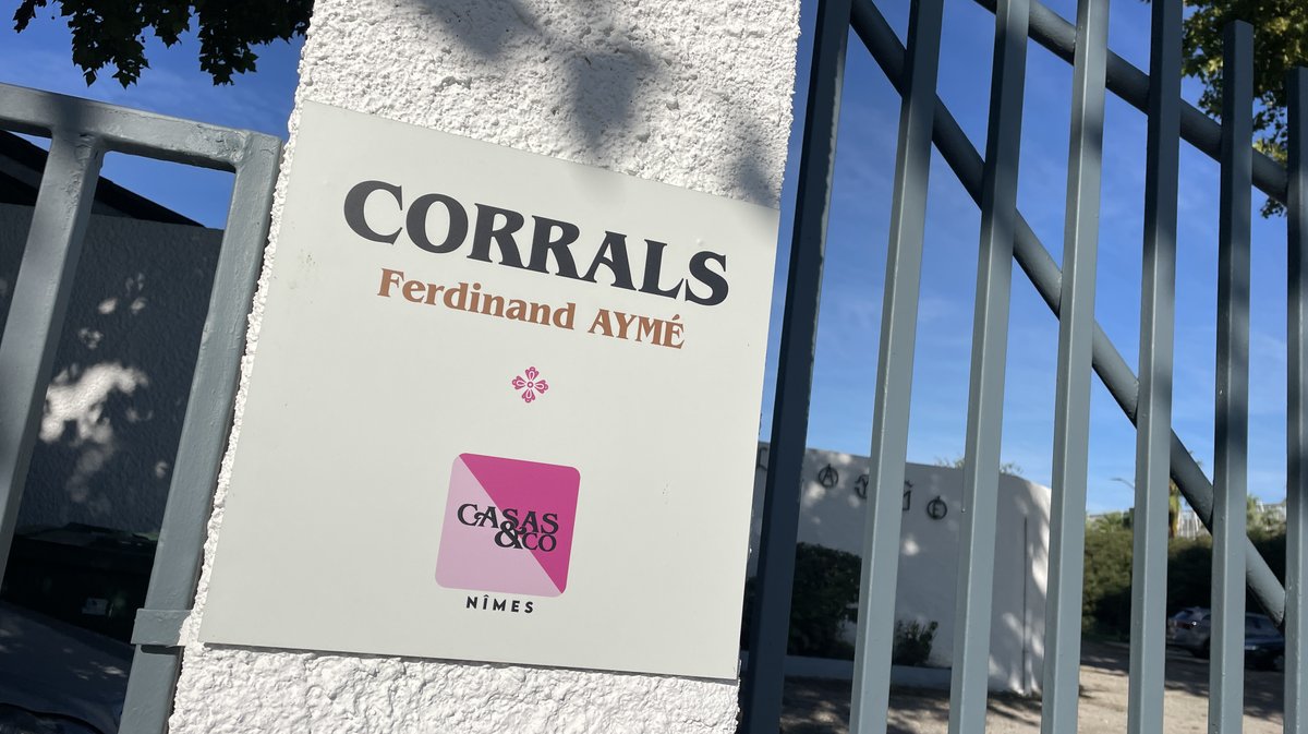 Présentation des toros de la feria des Vendanges Nîmes (Photo Anthony Maurin)