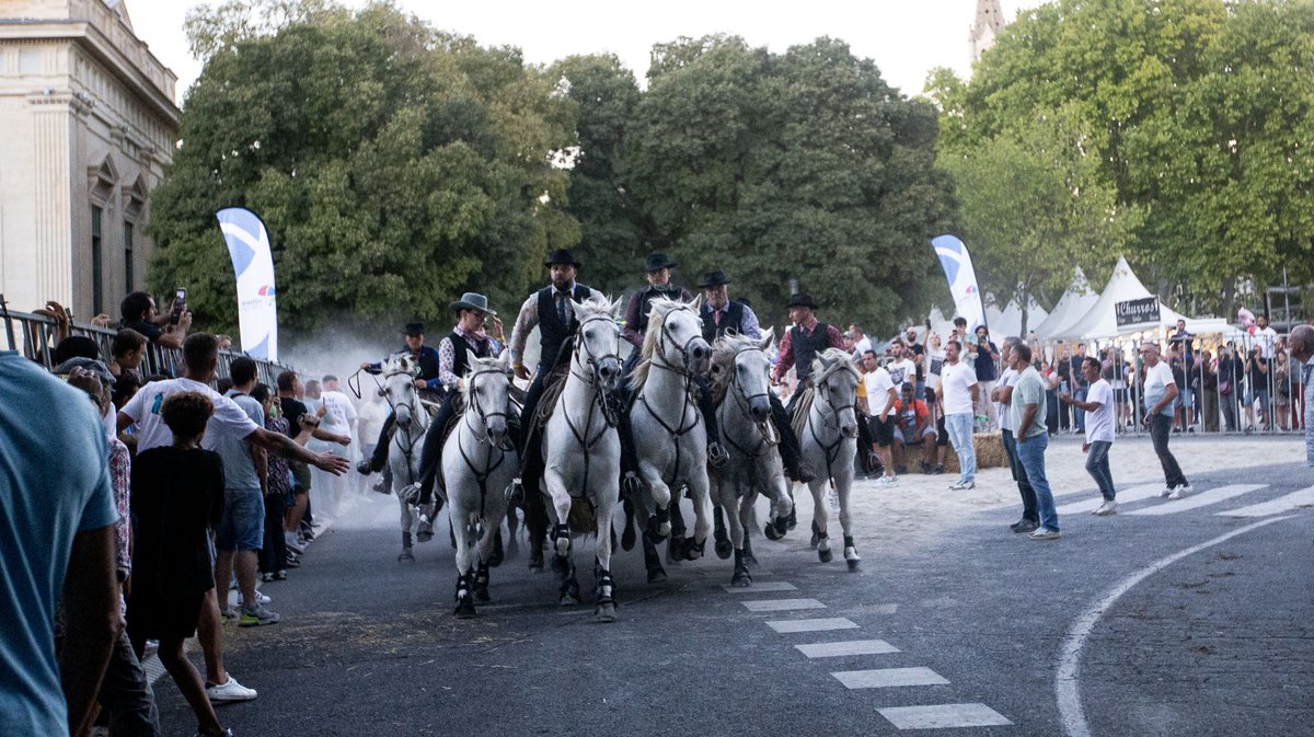 feria nimes 2025 day 1 abrivado (yp)