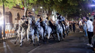 feria nimes 2025 day 1 abrivado (yp)