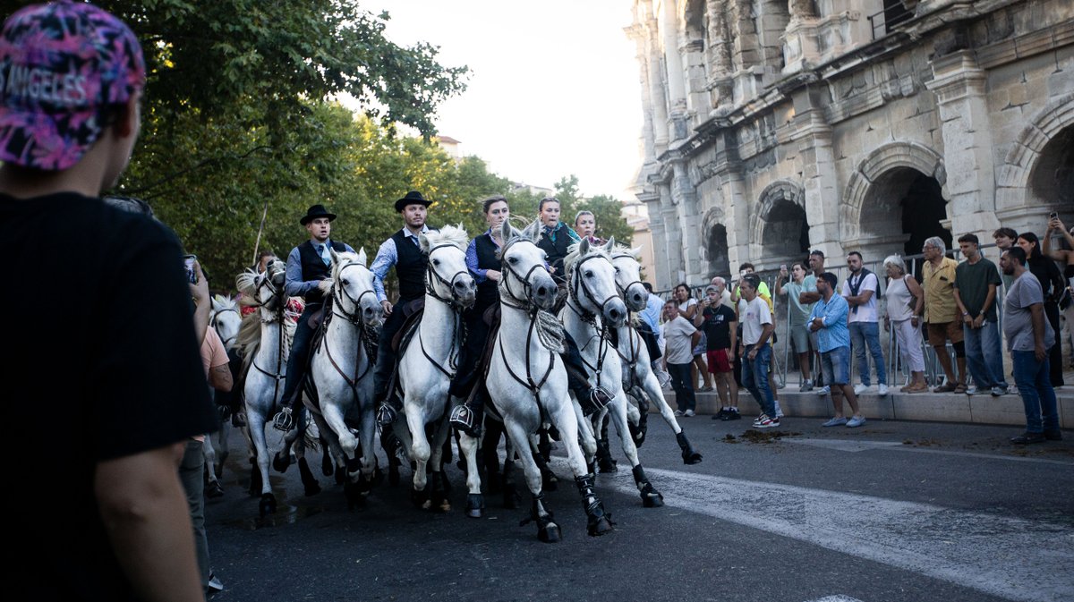 feria nimes 2025 day 1 abrivado (yp)