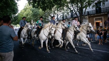 feria nimes 2025 day 1 abrivado (yp)