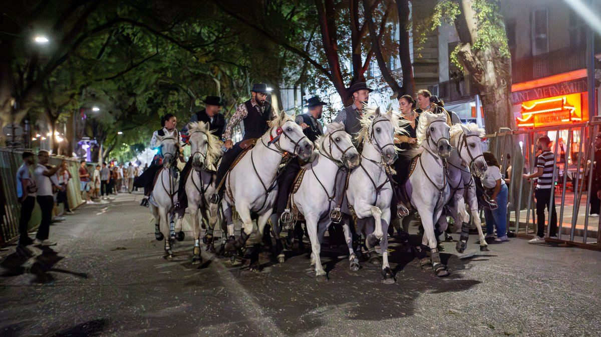 feria nimes 2025 day 1 abrivado (yp)