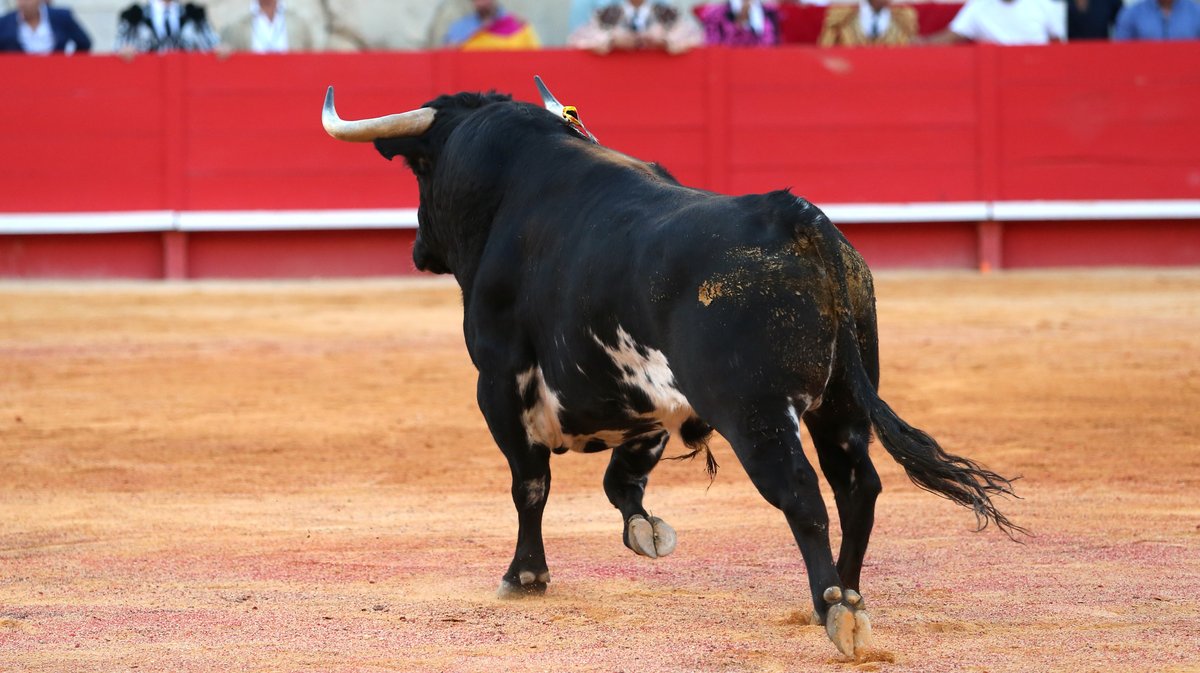 Corrida Carmen de Victoriano del Rio pour Sébastien Castella, Alejandro Talavante et Tomas Rufo (Photo Anthony Maurin)