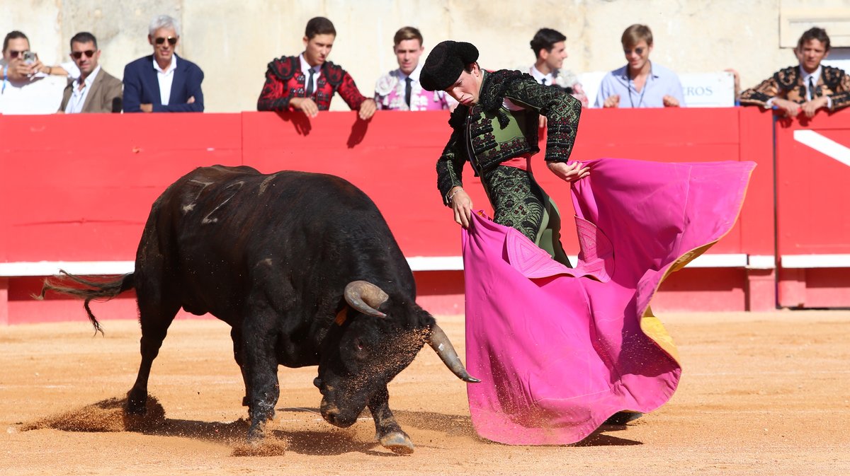 Novillada de Gallon pour Javier Zulueta, Martin Morilla et Victor (Photo Anthony Maurin)