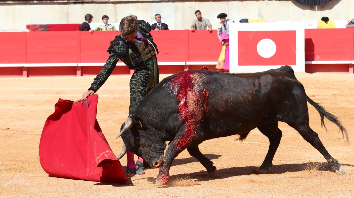 Novillada de Gallon pour Javier Zulueta, Martin Morilla et Victor (Photo Anthony Maurin)