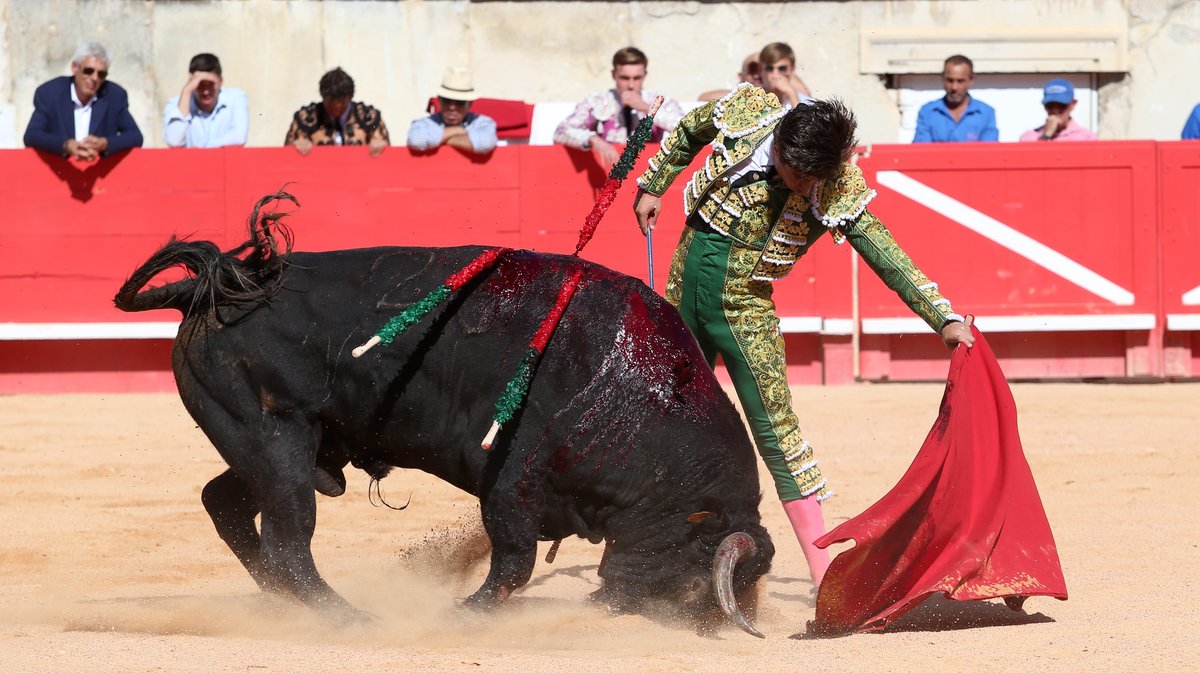 Novillada de Gallon pour Javier Zulueta, Martin Morilla et Victor (Photo Anthony Maurin)