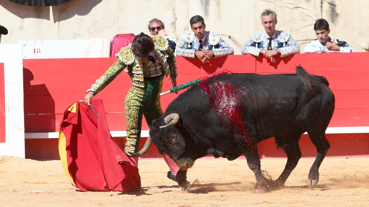 Novillada de Gallon pour Javier Zulueta, Martin Morilla et Victor (Photo Anthony Maurin)